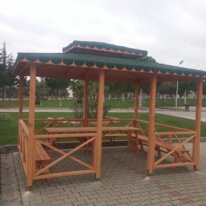 Dikdörtgen kamelya